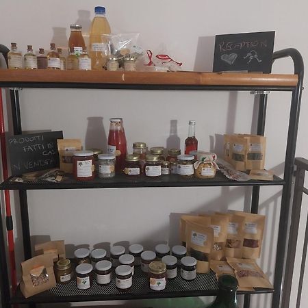 Apartament Casa Nel Bosco, Appennino Tosco Emiliano Camugnano Zewnętrze zdjęcie